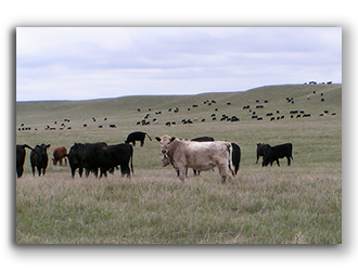 ranches for sale in south dakota