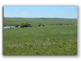 Wyoming Ranches for sale