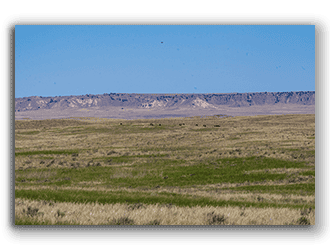 Cattle ranches for sale in Wyoming