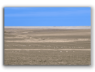 Colorado Farms for Sale