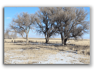 Grass Ranches for sale in Nebraska