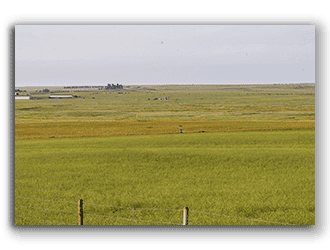 Land in Wyo for Sale