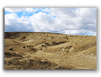 NE Ranches for Sale