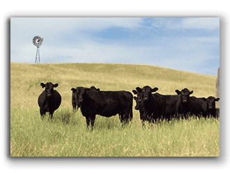 Nebraska ranches for sale