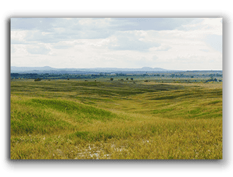 Ranches for Sale in Butte County SD