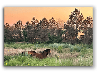 Ranches for sale in Nebraska