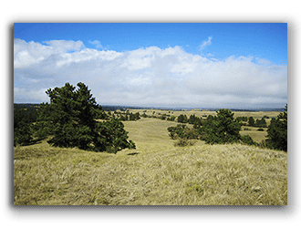 Ranches for sale in wyoming