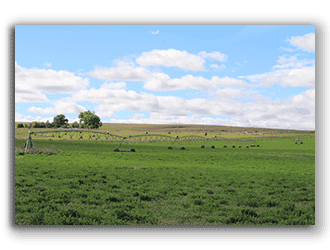 Wyoming Hay Ranches for Sale