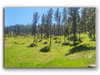 Wyoming Ranch Properties for Sale