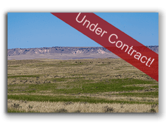 Wyoming cattle ranches for sale