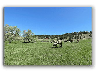 Ranches for sale in South Dakota