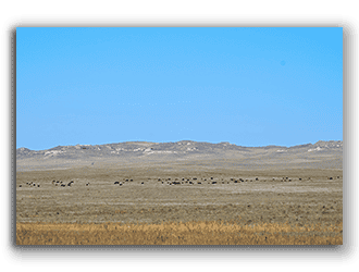 Wyo Ranches for Sale